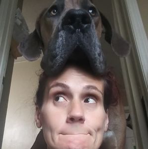 Meet your Posher, Mandi